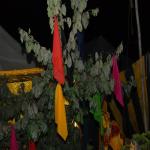 Vraj-Yatra-2014- (2093)